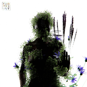 ass少妇picS粉嫩BBW
